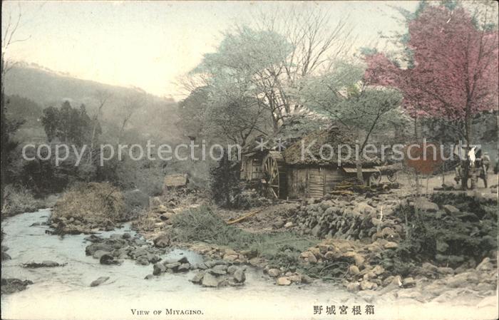 Japan View of Miyagino