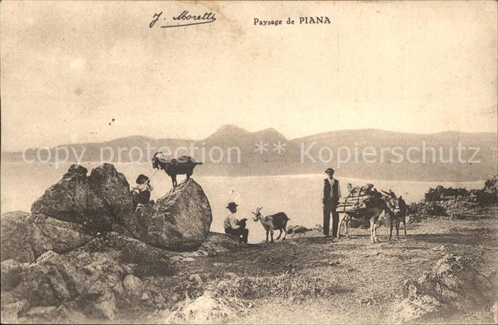 Piana Paysage Ziege Esel Bauer