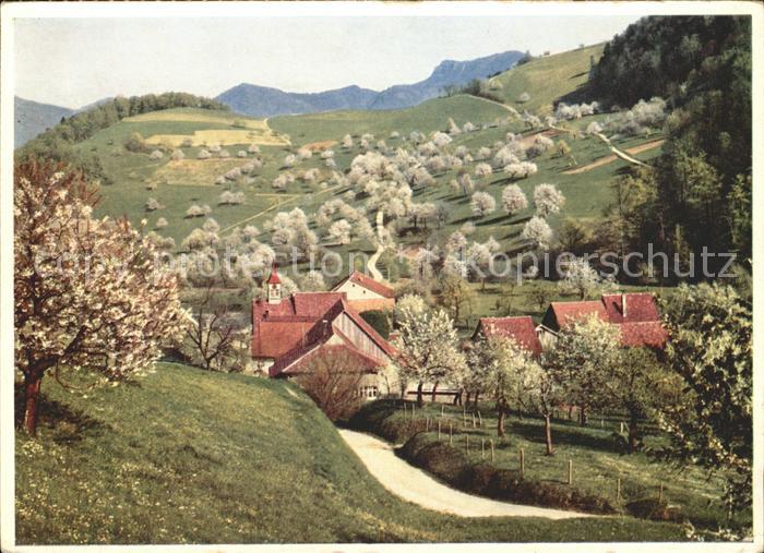 Waldenburg BL Panorama Baumbluete Schweizer Wanderkalender 1959