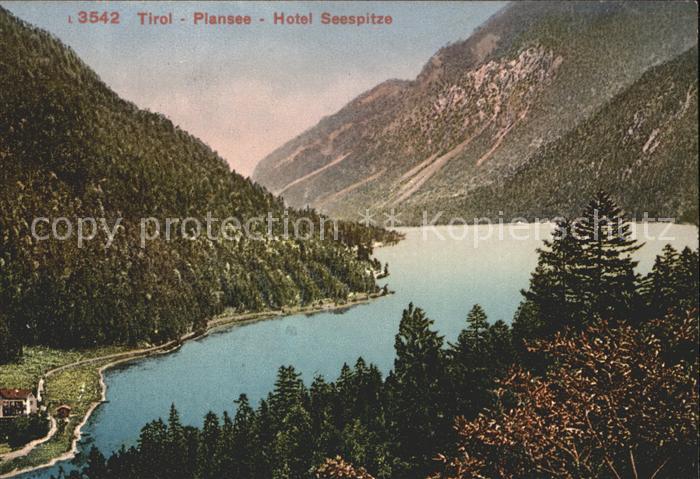 Plansee mit Hotel Seespitze