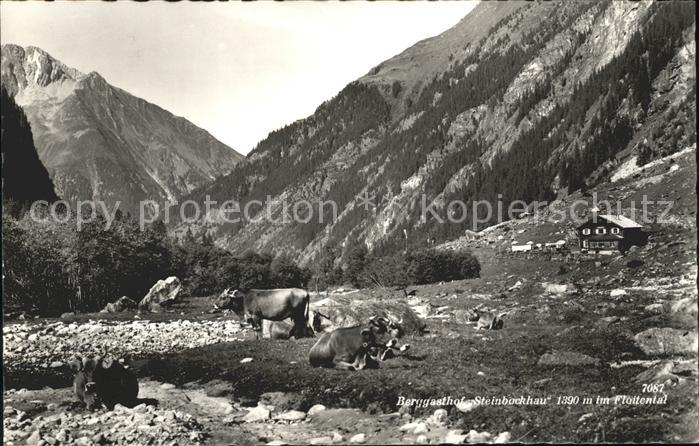 Ginzling Berggasthof Steinbockhaus im Floitental