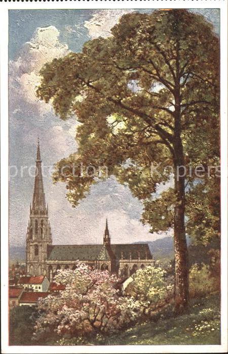 Linz Donau Maria Empfaengnis Dom