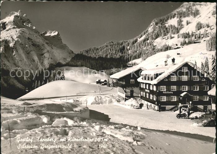 Schroecken Vorarlberg Gasthof Tannberg mit Künzelspitze