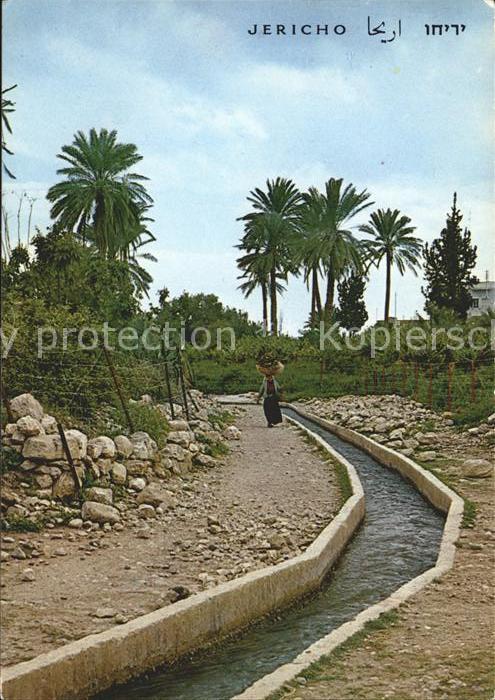 Jericho Israel Eliasbrunnen Fontaine d Elisha