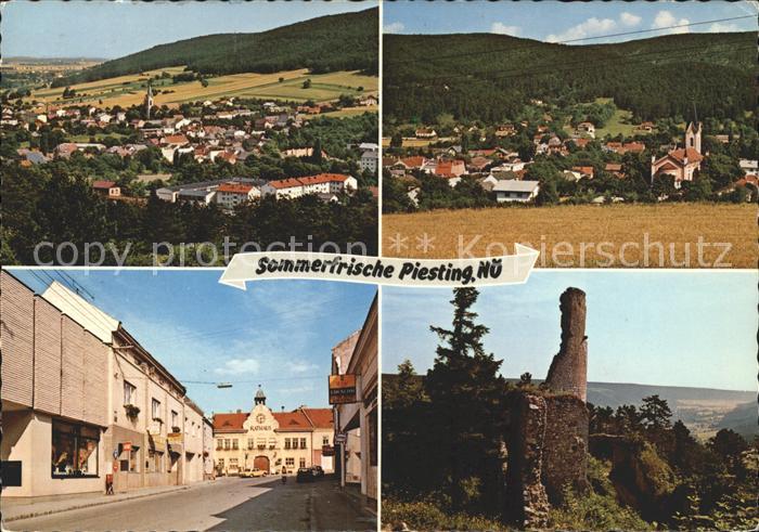 Piesting Totale mit Hasenberg Pfarrkirche Marktplatz Rathaus Ruine Starhemberg