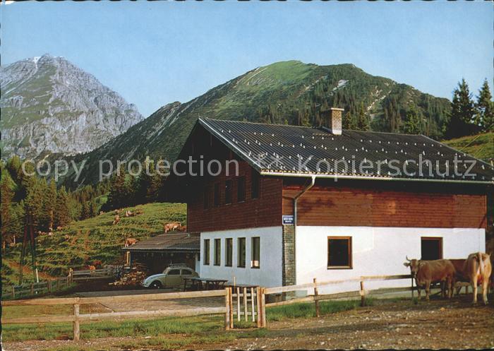 Berwang Tirol Heiterwanger Hochalm mit Thaneller Almwirtschaft Kuehe
