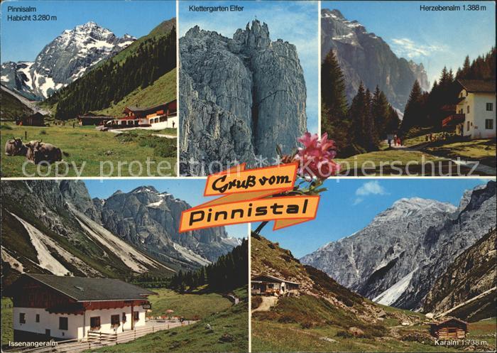 Pinnistal Klettergarten Almen Alpenblume Habicht Stubaier Alpen