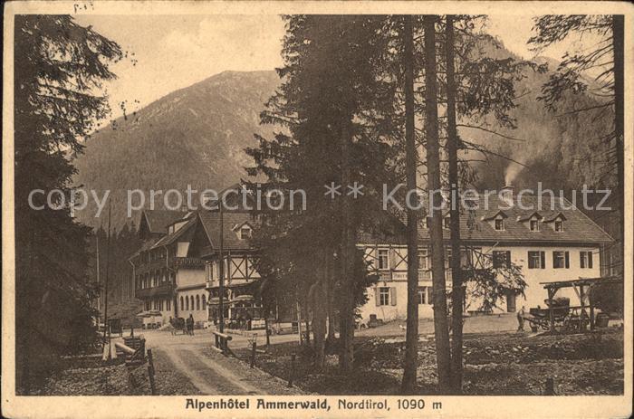 Reutte Tirol Alpenhotel Ammerwald