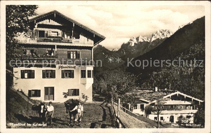 Kufstein Tirol Pfandlhof im Kaisertal Pferde Reiten
