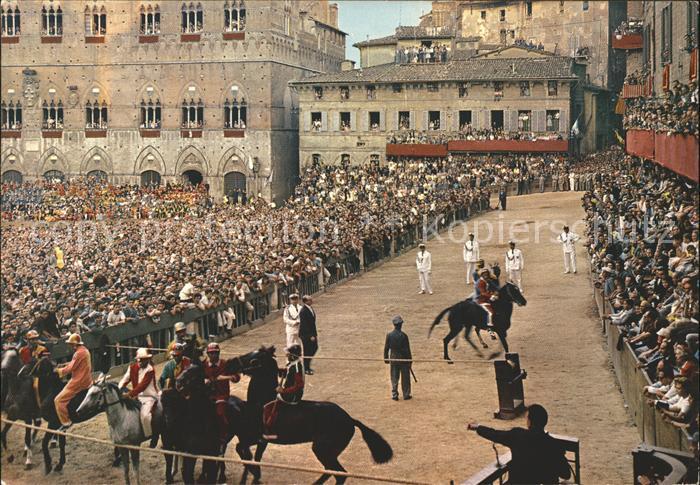 Siena Il Palio Particolare della Mossa Pferde