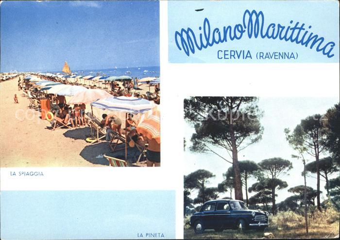 Milano Marittima Cervia Ravenna Seekueste Fichtenwald
