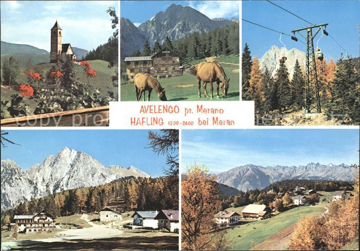 Avelengo Berge Pferde Blumen