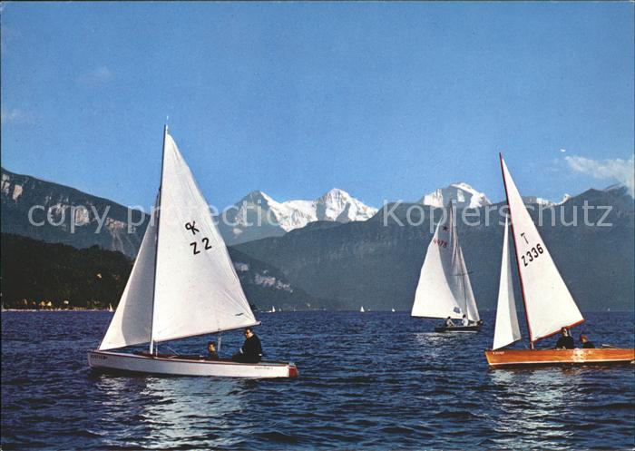 Segelboote Thunersee Eiger Mönch Jungfrau