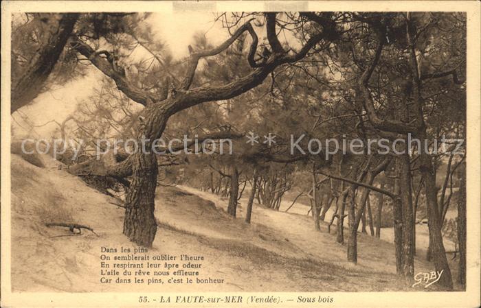 La Faute-sur-Mer Sous bois