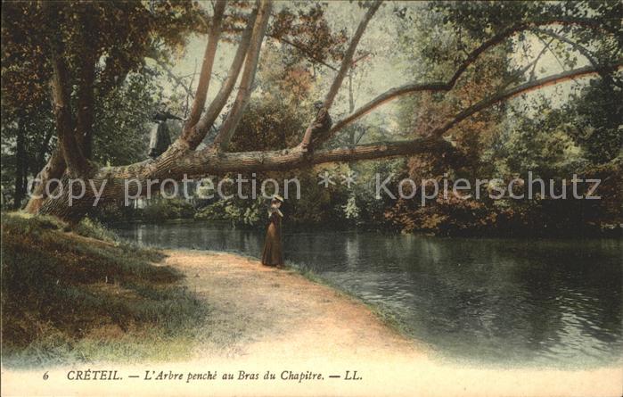 Creteil Arbre penche au Bras du Chapitre