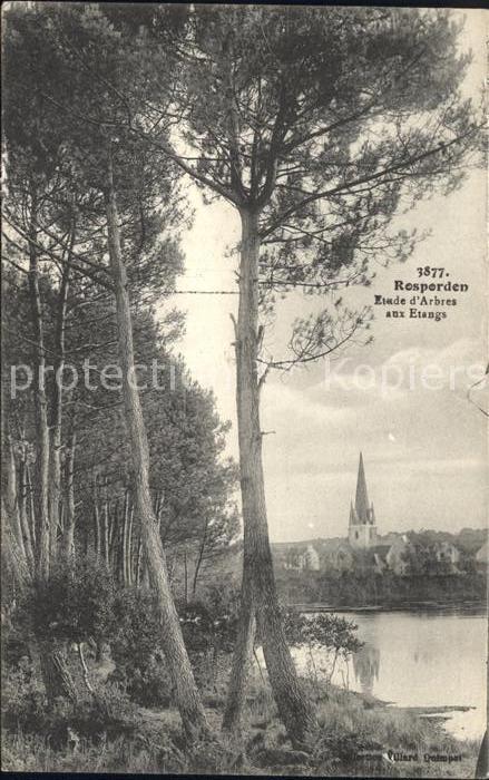 Rosporden Etude d_Arbres aux Etangs Eglise