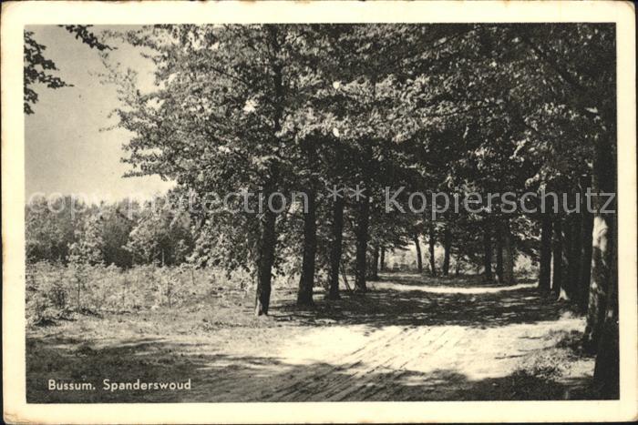 Bussum Spanderswoud