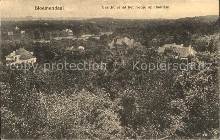 Bloemendaal Gezicht vanaf het Kopje op Haarlem