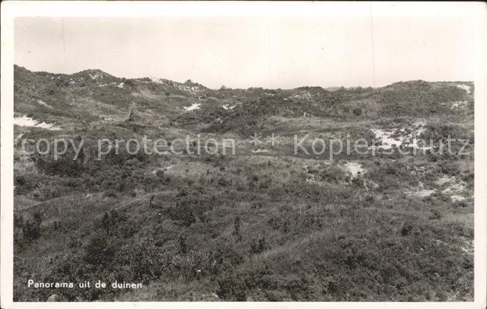 Bergen aan Zee Panorama uit de duinen D?nen