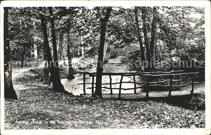 Bergen aan Zee In de Bossen Holzbr?cke Wald