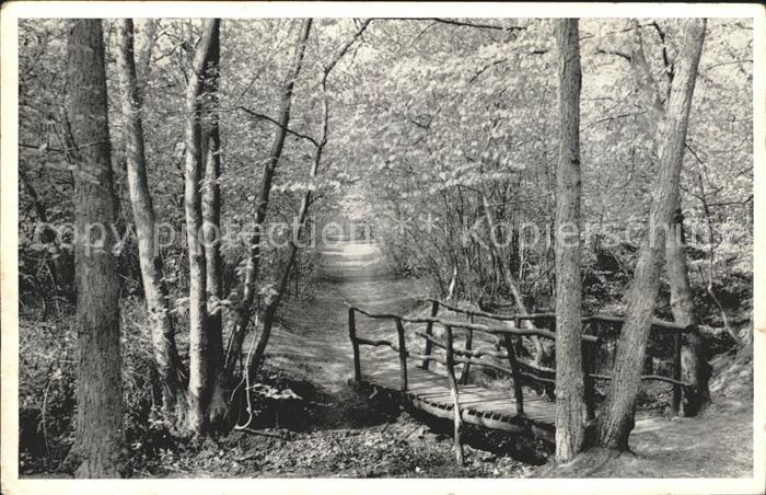 Bergen aan Zee Droomlaantje Holzbruecke