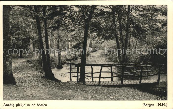 Bergen aan Zee Aardig plekje in de bossen Holzbruecke