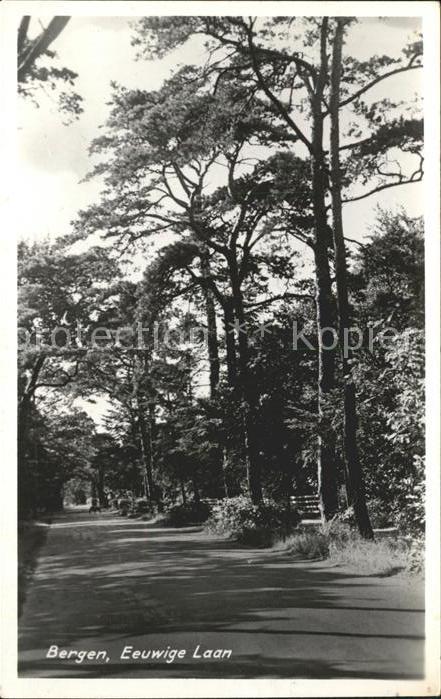 Bergen aan Zee Eeuwige Laan