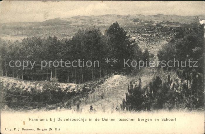 Schoorl Panorama bij Duivelsboschje in de Duinen Duenen