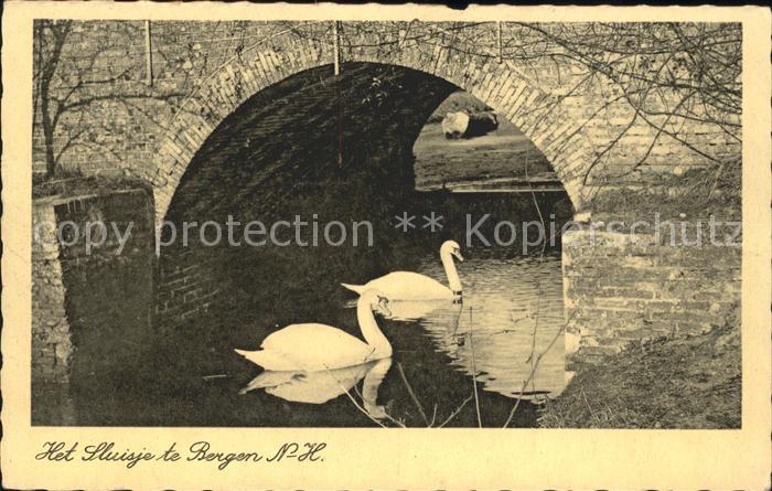 Bergen aan Zee Sluisje Schwaene