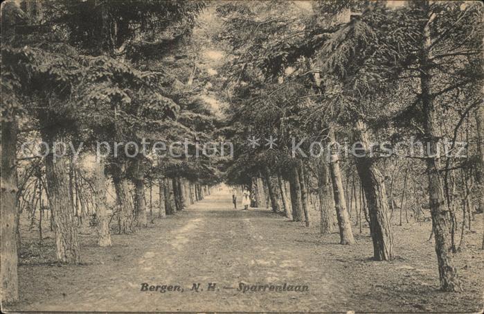 Bergen aan Zee Sparrenlaan
