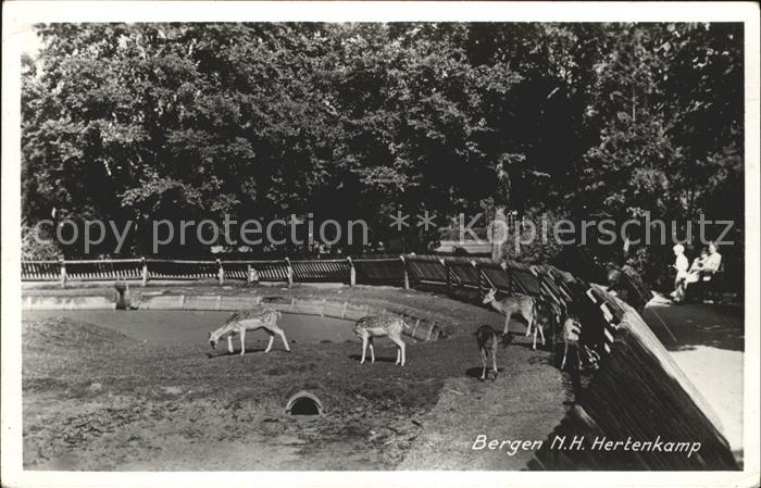 Bergen aan Zee Hertenkamp Tierpark