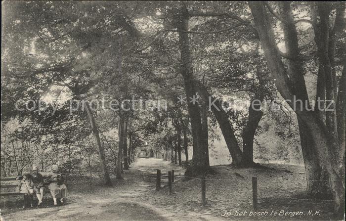 Bergen aan Zee In het bosch Waldpartie