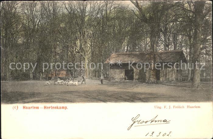 Haarlem Hertenkamp Tierpark