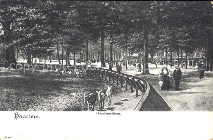 Haarlem Haarlemerhout Tierpark