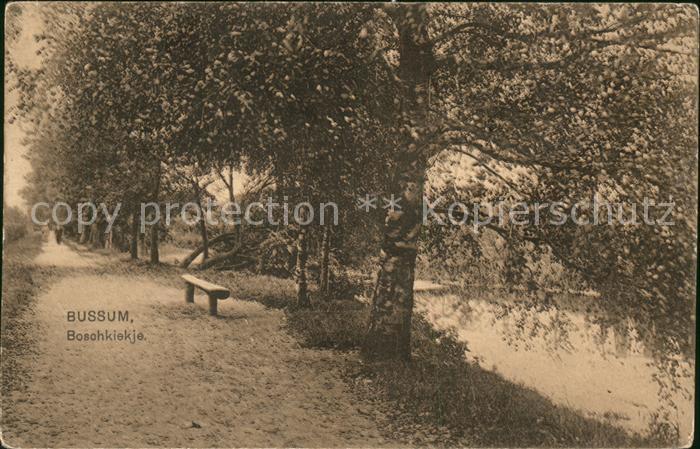 Bussum Boschkiekje