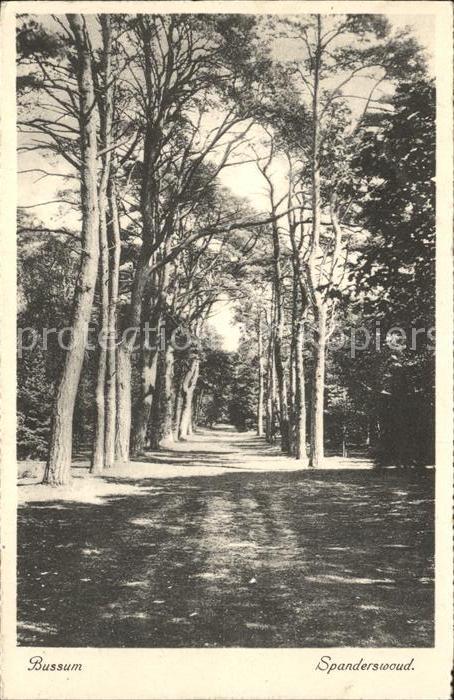 Bussum Spanderswoud