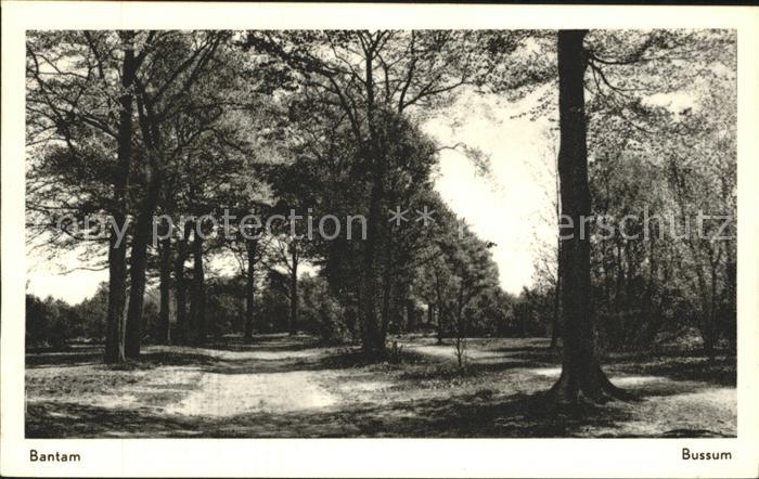 Bussum Bantam