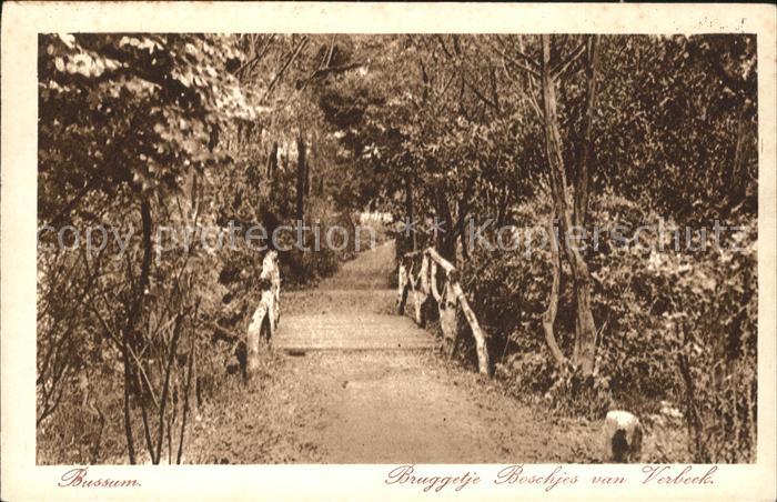 Bussum Bruggetje Boschjes van Verbeek Holzbr?cke