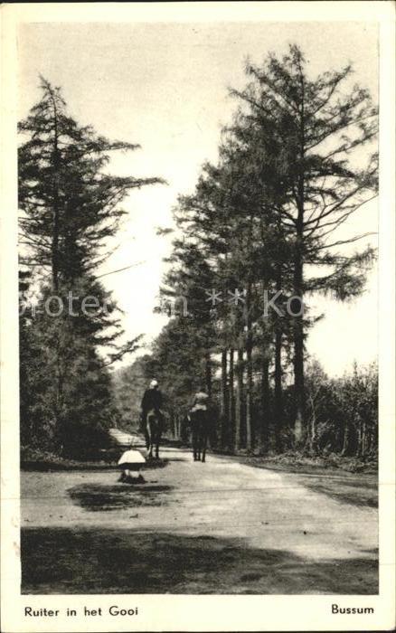 Bussum Ruiter in het Gooi Reiter