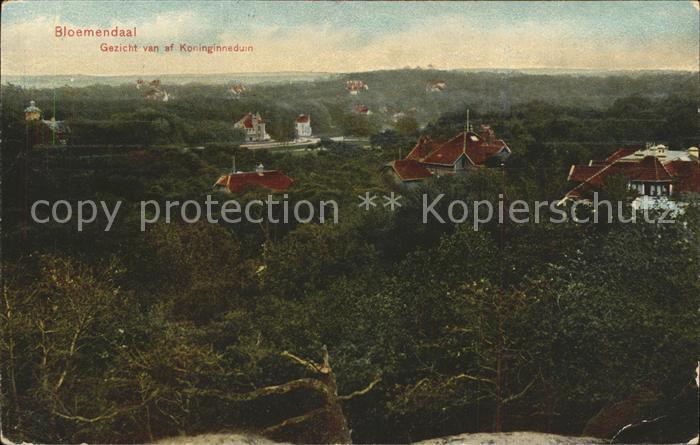 Bloemendaal Gezicht van af Koninginneduin