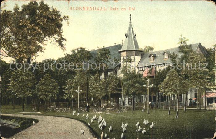 Bloemendaal Duin en Dal Enten