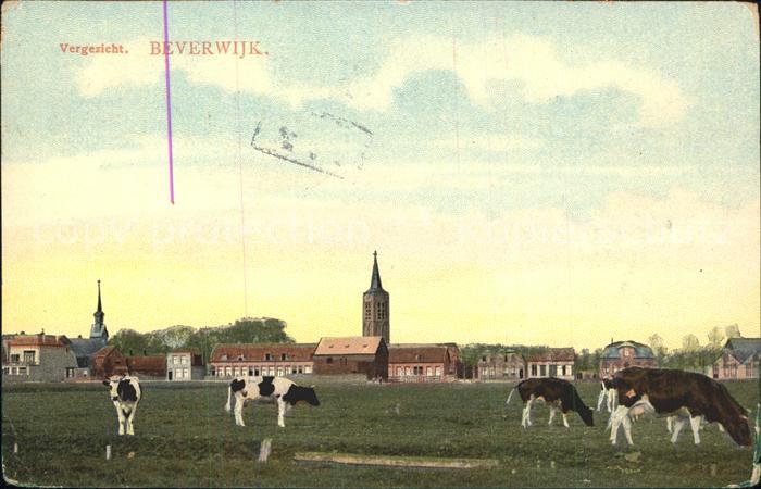 Beverwijk Vergezicht Kirche Viehweide Kühe