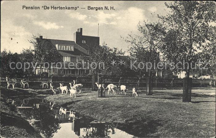 Bergen aan Zee Pension De Hertenkamp Wildgehege