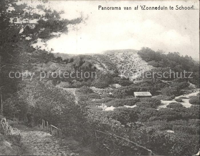 Schoorl Panorama van af t Zonneduin