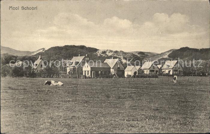 Schoorl Gesamtansicht Viehweide Kühe