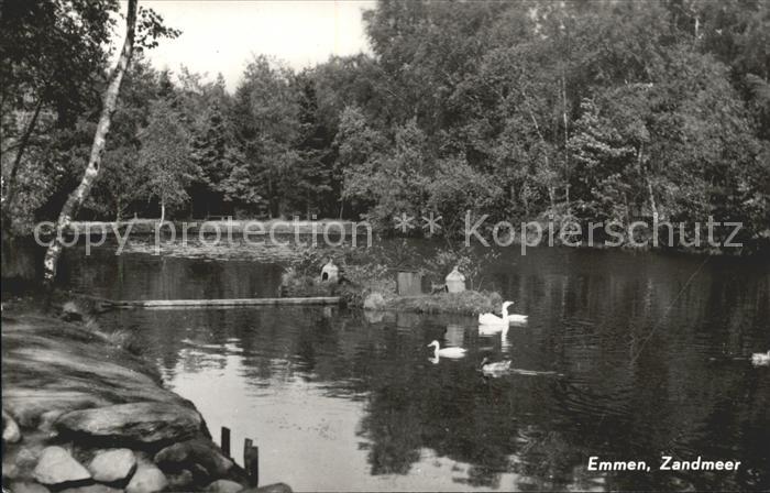 Emmen Netherlands Zandmeer Enten