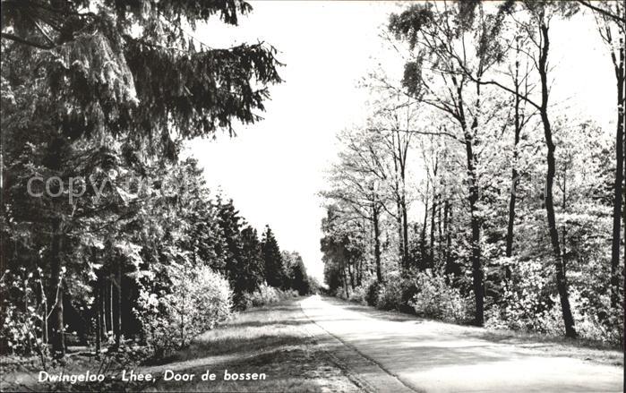 Lhee Door de bossen Waldpartie