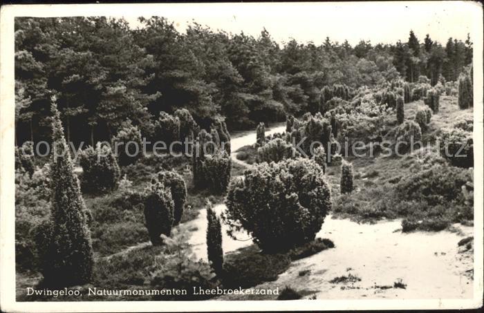 Dwingeloo Natuurmonumenten Lheebroekerzand Landschaft
