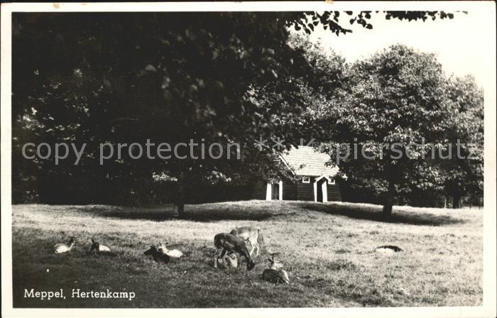 Meppel Hertenkamp Tiergehege