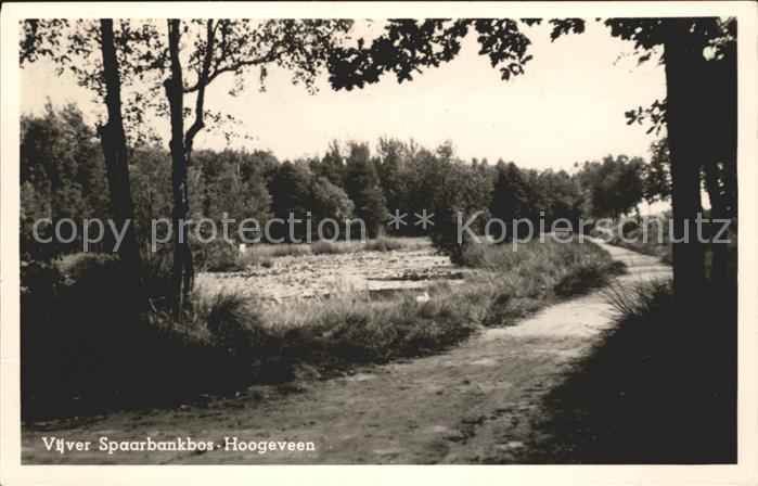 Hoogeveen Vijver Spaarbankbos